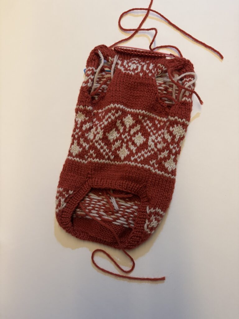 강아지 코위찬 니트의 등판과 배판을 연결한 뒤 하단 고무단을 뜨고 있는 진행 중 모습