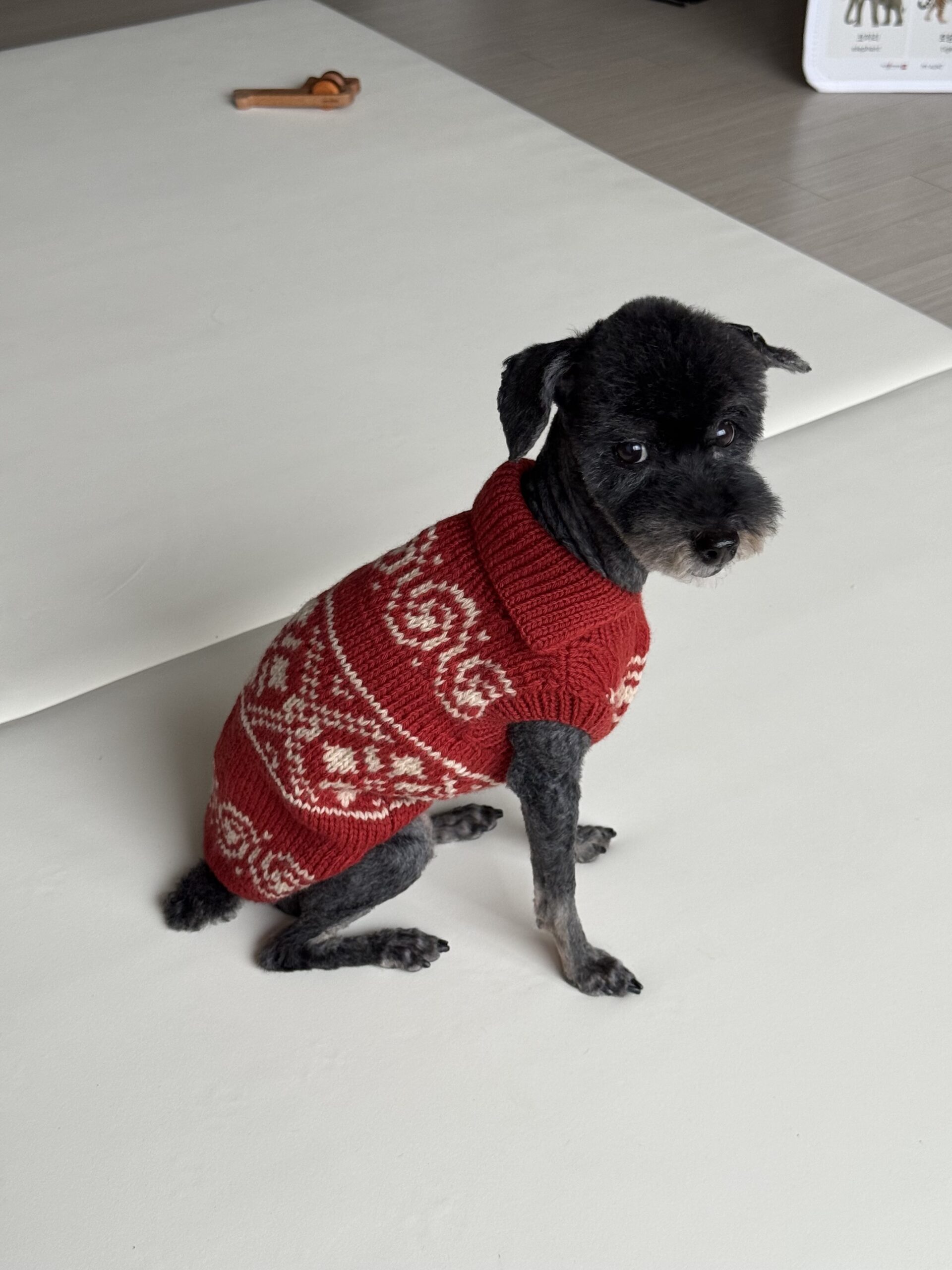 작은 몸에 겨울을 입히다 | VINTAGE COWICHAN for dogs